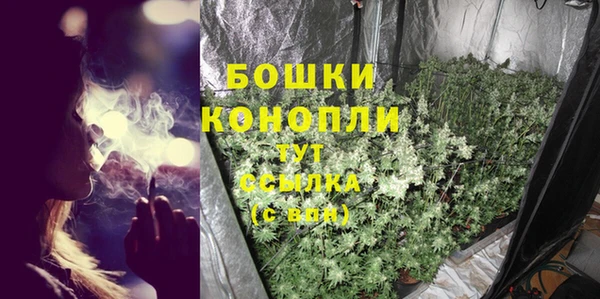 2c-b Белоозёрский