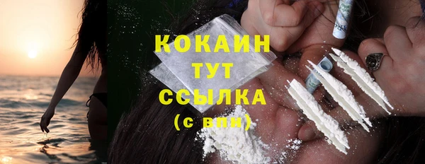 дживик Балахна