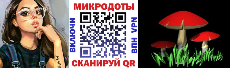 Галлюциногенные грибы Psilocybe Харабали